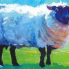 White Abstract Sheep paint by number