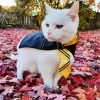 White Hufflepuff Kitty paint by number