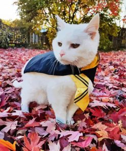 White Hufflepuff Kitty paint by number