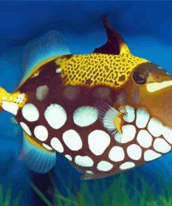 Yellow Clown Triggerfish paint by number