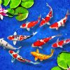 9 Koi Fish In Water paint by number