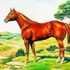 Adorable Quarter Horse Art paint by number