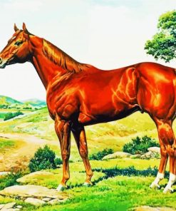 Adorable Quarter Horse Art paint by number