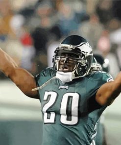 American Football Brian Dawkins paint by number