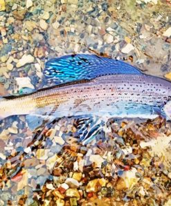 Arctic Grayling Fish paint by number