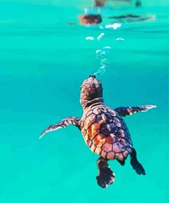 Baby Turtles Underwater paint by number