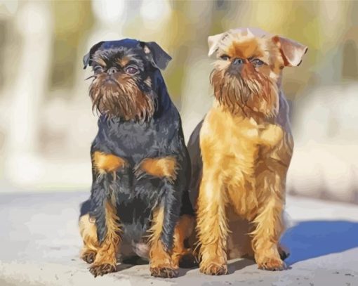 Black And Beige Brussels Griffon paint by number