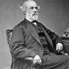 Black And White General Robert E Lee paint by number