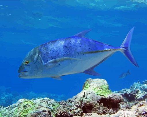 Blue Jack Trevally paint by number