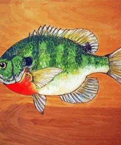 Bluegill Fish paint by number