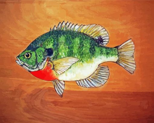 Bluegill Fish paint by number