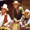 Bonanza Actors paint by number