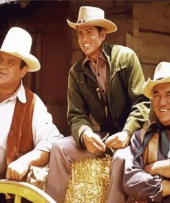 Bonanza Actors paint by number