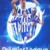 Brighton And Hove Albion Premier League Paint by number