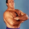 Bruno Sammartino paint by number