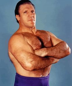 Bruno Sammartino paint by number