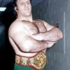 Bruno Sammartino Wrestler paint by number