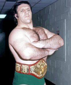 Bruno Sammartino Wrestler paint by number