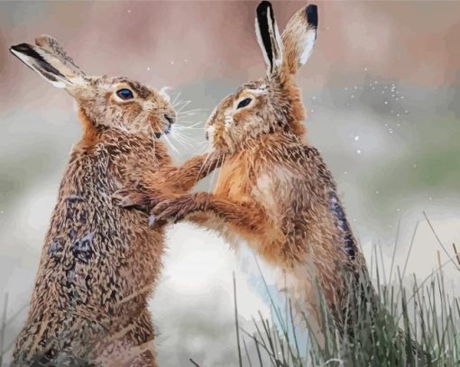 Fighting Hares Paint by number