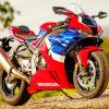 Honda Fireblade paint by number