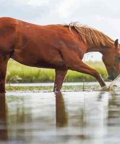 Horse Crossing The River paint by number