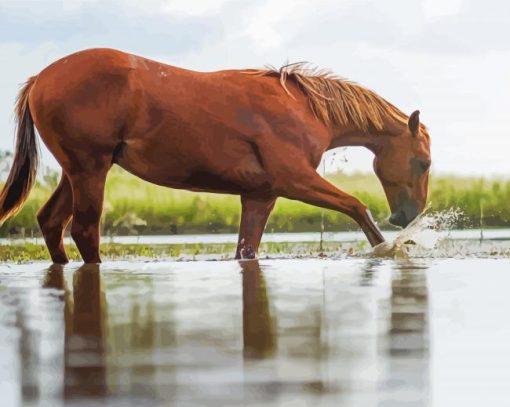 Horse Crossing The River paint by number