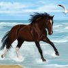 Horse On The Beach paint by number