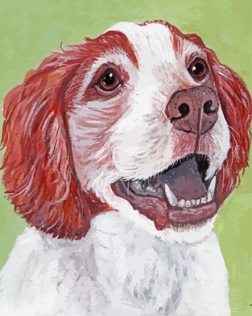 Irish Red White Setter Puppy paint by number