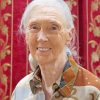 Jane Goodall paint by number