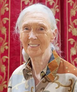 Jane Goodall paint by number