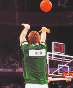 Larry Bird Back paint by number