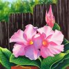 Mandevilla Art paint by number