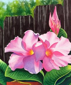 Mandevilla Art paint by number