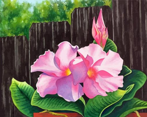 Mandevilla Art paint by number