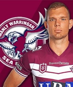 Manly NRL paint by number