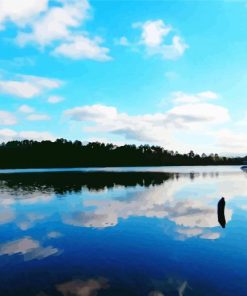 Minnesota Lake View Paint by number