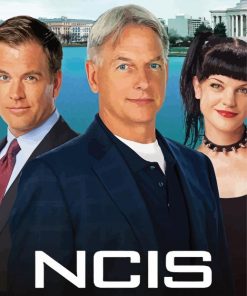 Ncis paint by number