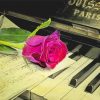 Old Piano With Pink Rose paint by number