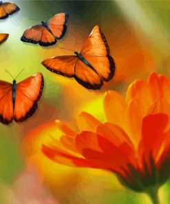 Orange Flower With Butterfly Illustration paint by number