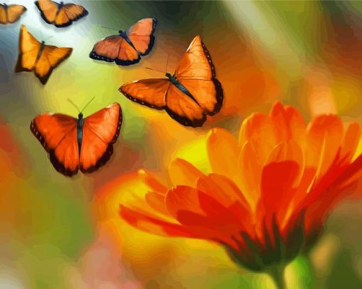 Orange Flower With Butterfly Illustration paint by number