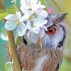 Owl With Flowers paint by number