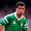 Paul Mcgrath Footballer Paint by number