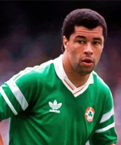 Paul Mcgrath Footballer Paint by number