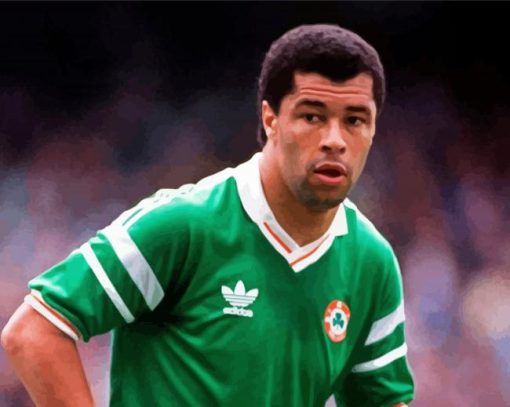 Paul Mcgrath Footballer Paint by number