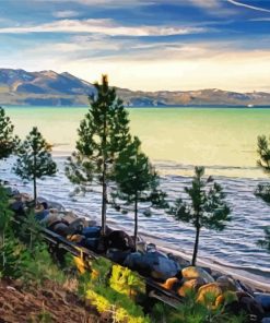 Pine Trees And Rocky Beach paint by number