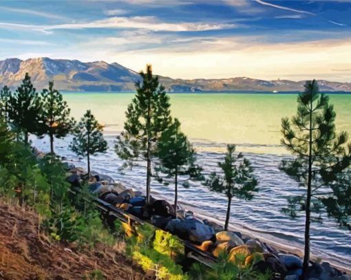 Pine Trees And Rocky Beach paint by number