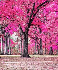 Pink Forest Trees paint by number