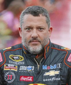 Racing Driver Tony Stewart paint by number