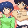 Ranma Art paint by number