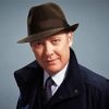 Raymond Reddington Paint by number